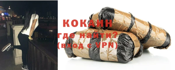 шишки Мегион