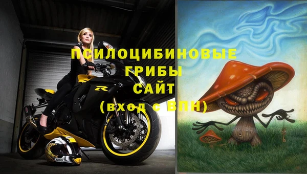 герыч Ладушкин