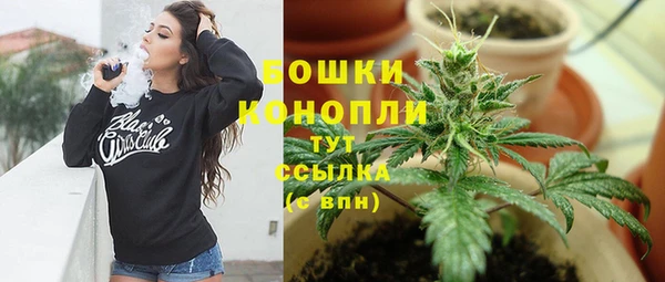 PSILOCYBIN Остров