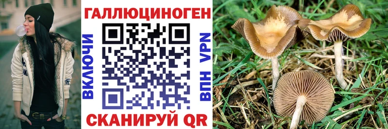 Галлюциногенные грибы ЛСД  дарк нет клад  Ростов-на-Дону  купить закладку 