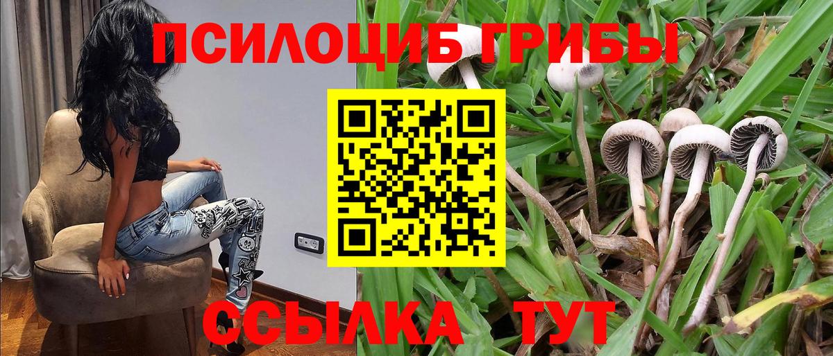 Галлюциногенные грибы Magic Shrooms  сколько стоит  Ростов-на-Дону  Галлюциногенные грибы Cubensis  Вход с VPN 